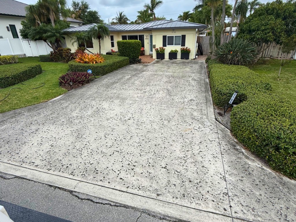 Walkway before pressure washing