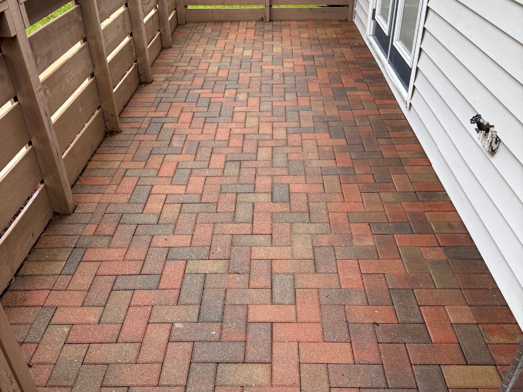 Paver walkway after cleaning