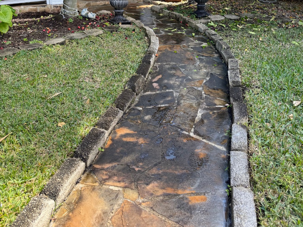 Stone walkway before cleaning