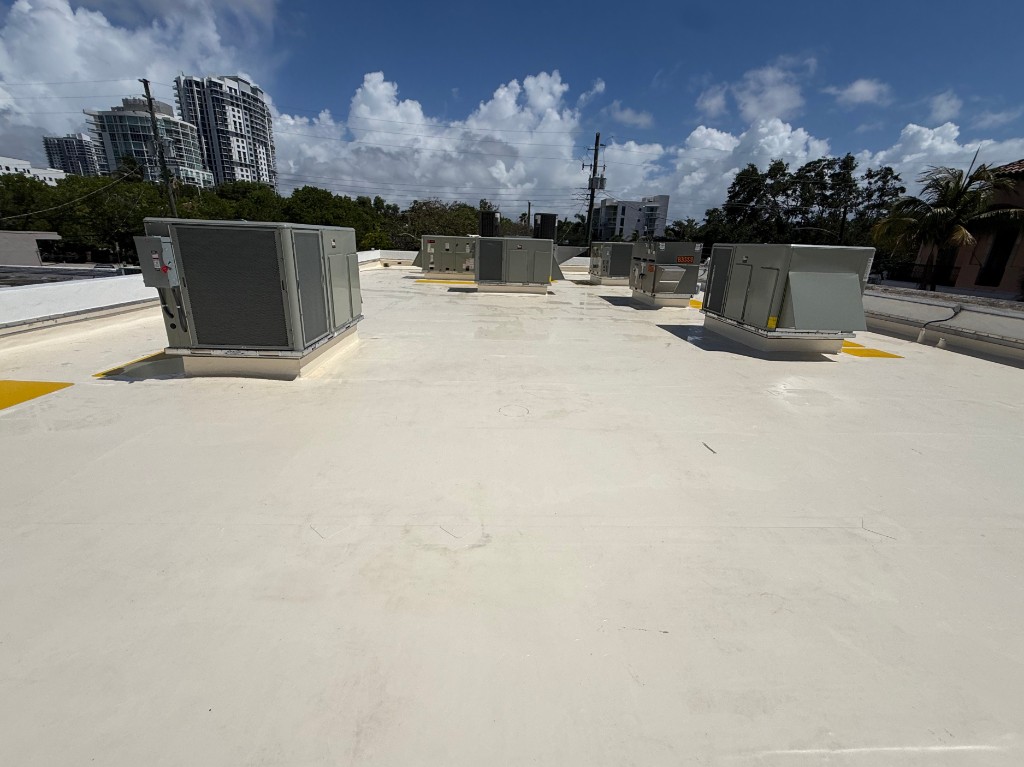 TPO roof after cleaning